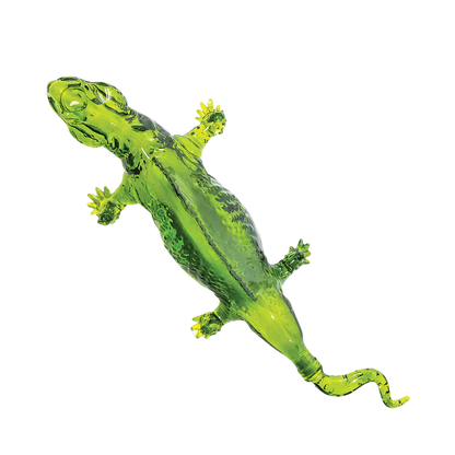 Don Chinto Reposado Tequila Iguana (Green) 750ml