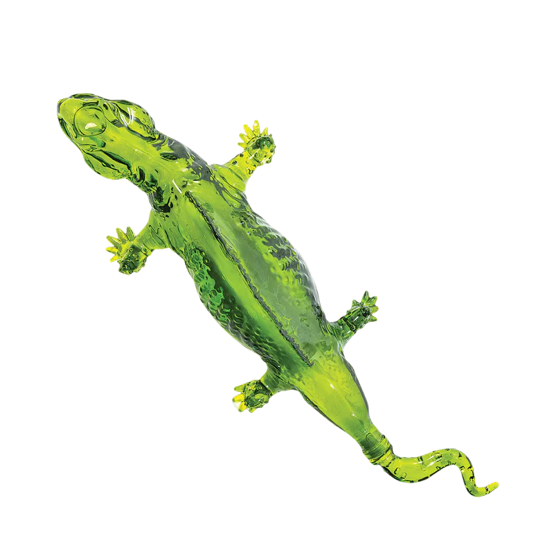 Don Chinto Reposado Tequila Iguana (Green) 750ml